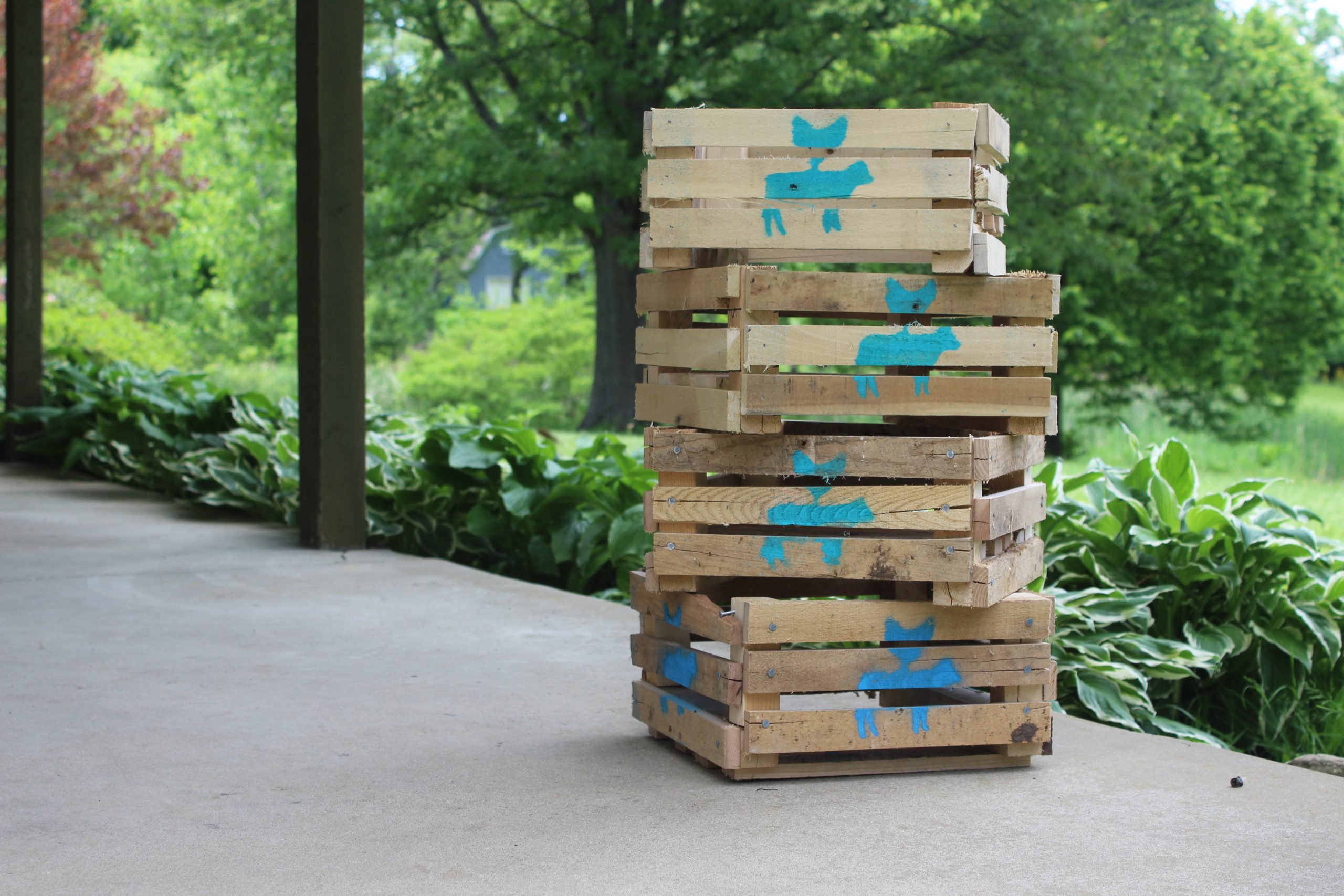 Local co-op offers custom farmers market boxes