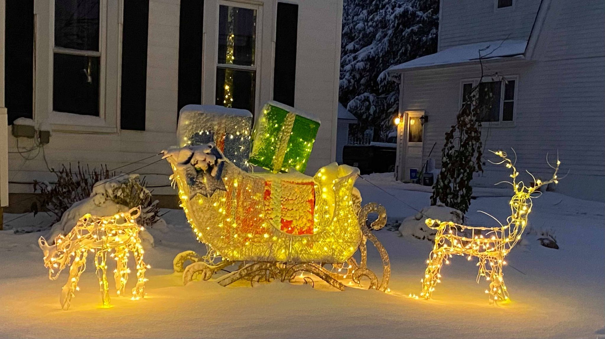 GALLERY Firelands Electric Christmas lights winners