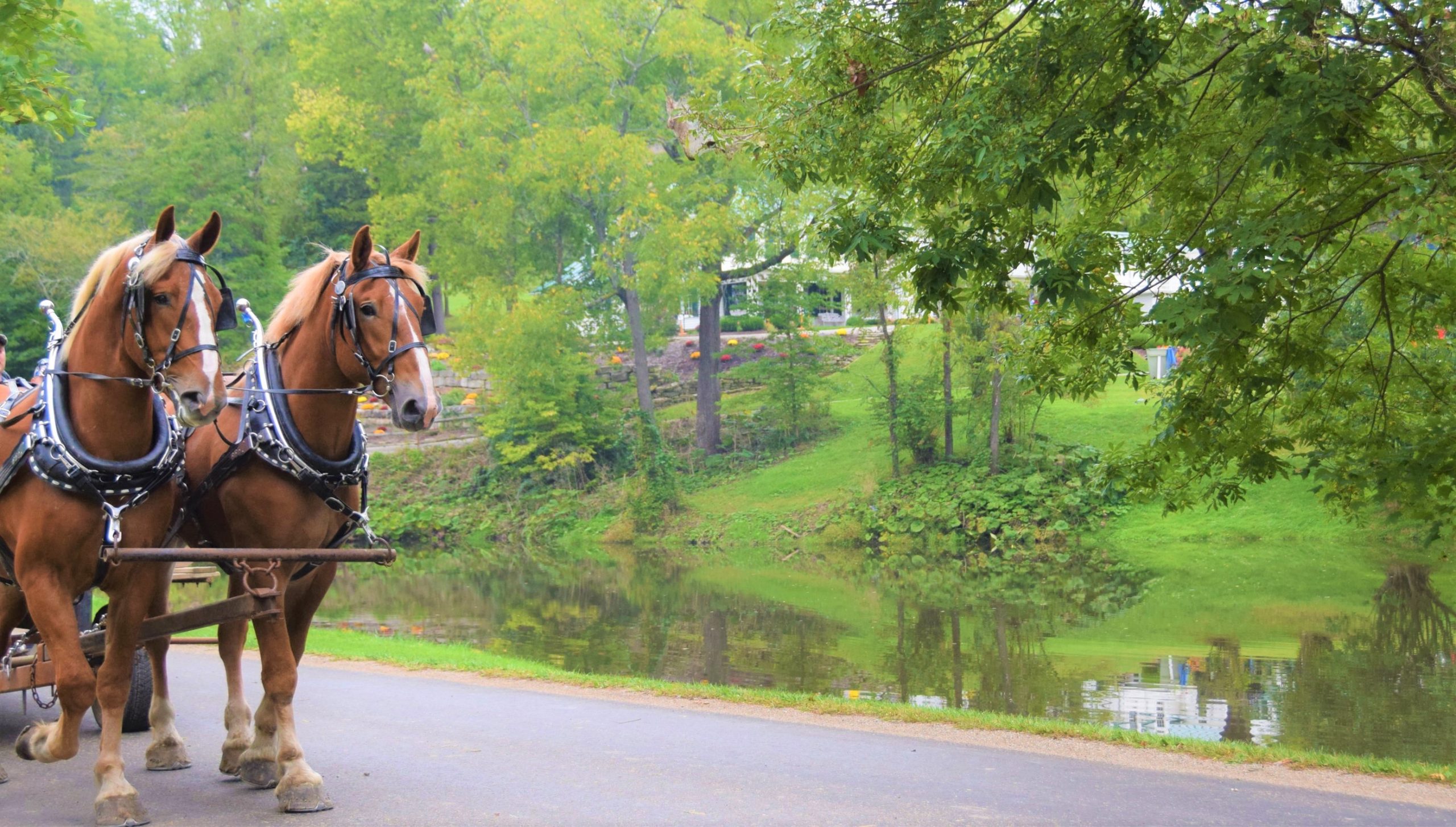 GALLERY Ohio Heritage Days at Malabar Farm State Park