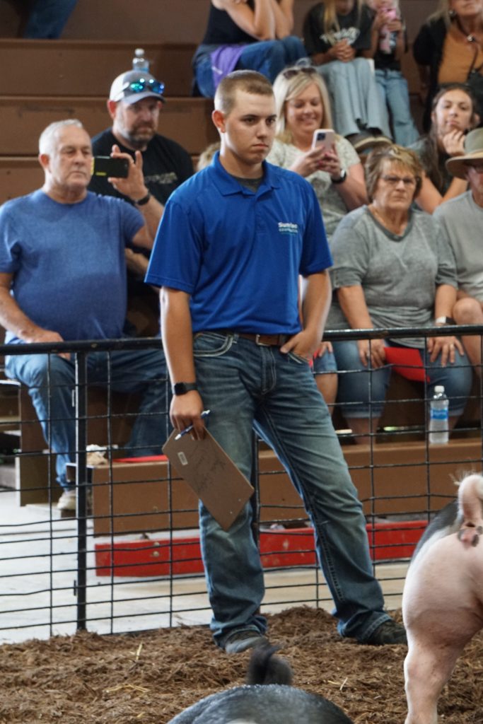 livestock competition