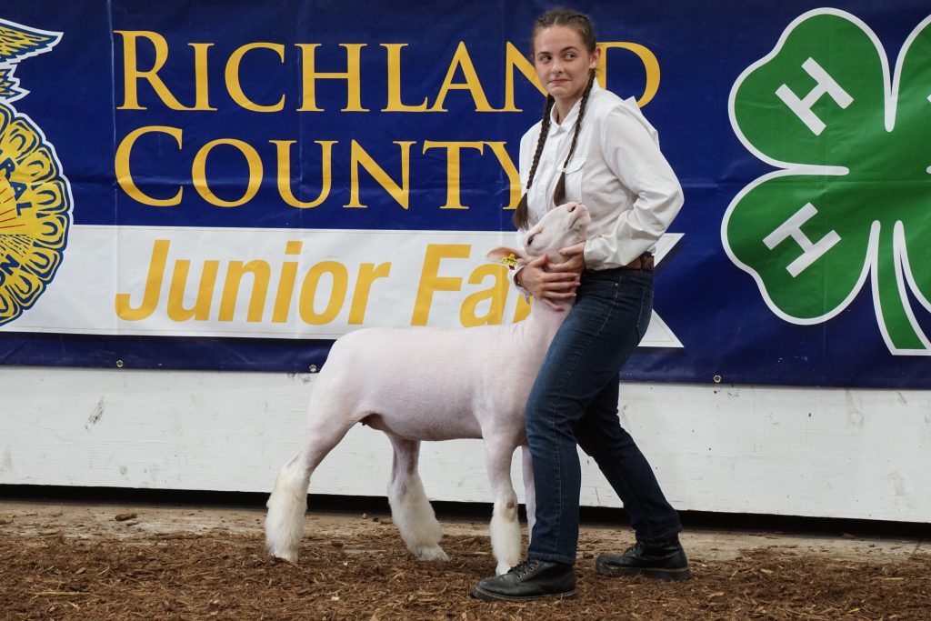 livestock competition