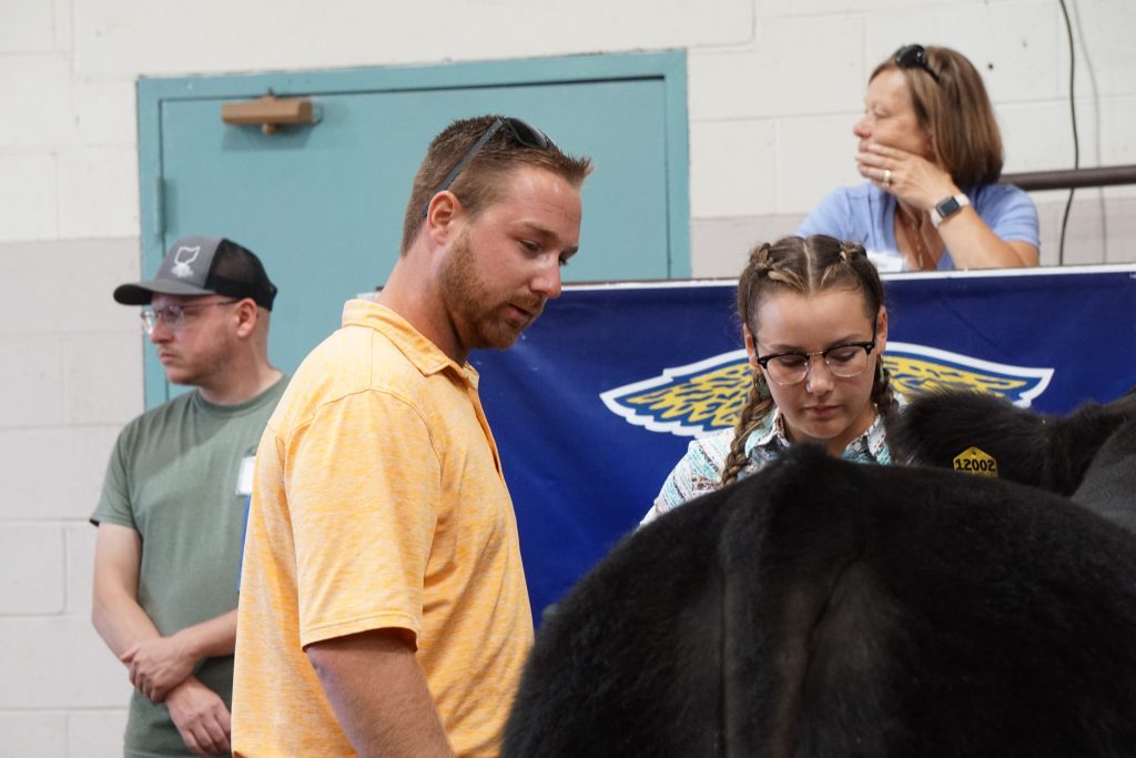 livestock competition