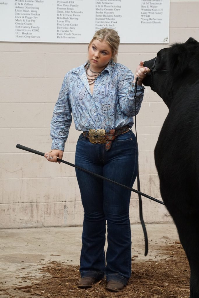 livestock competition