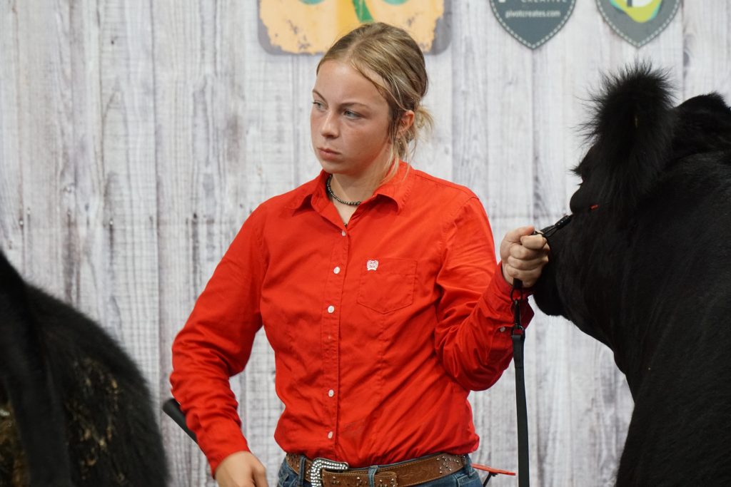 livestock competition