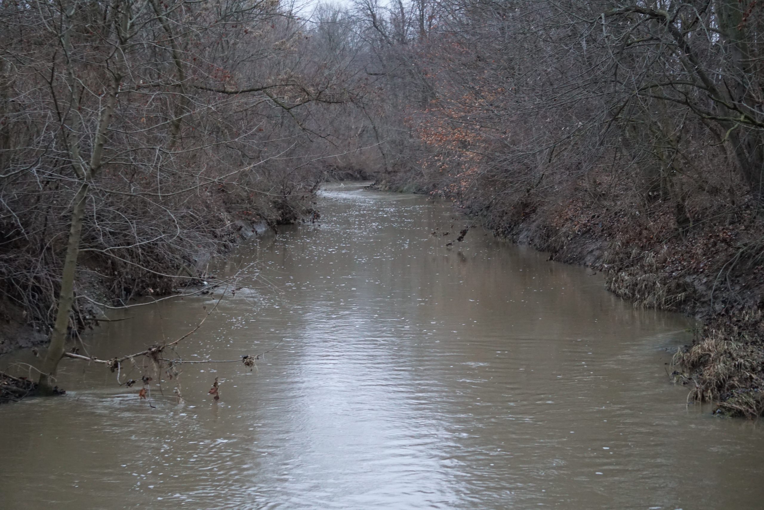 Black Fork River with trees lining both sides of the water.