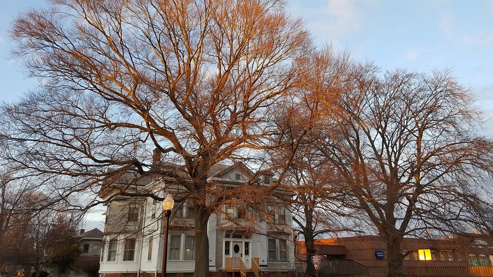 Feb. 25 concert to benefit Gill House & Galion music parents