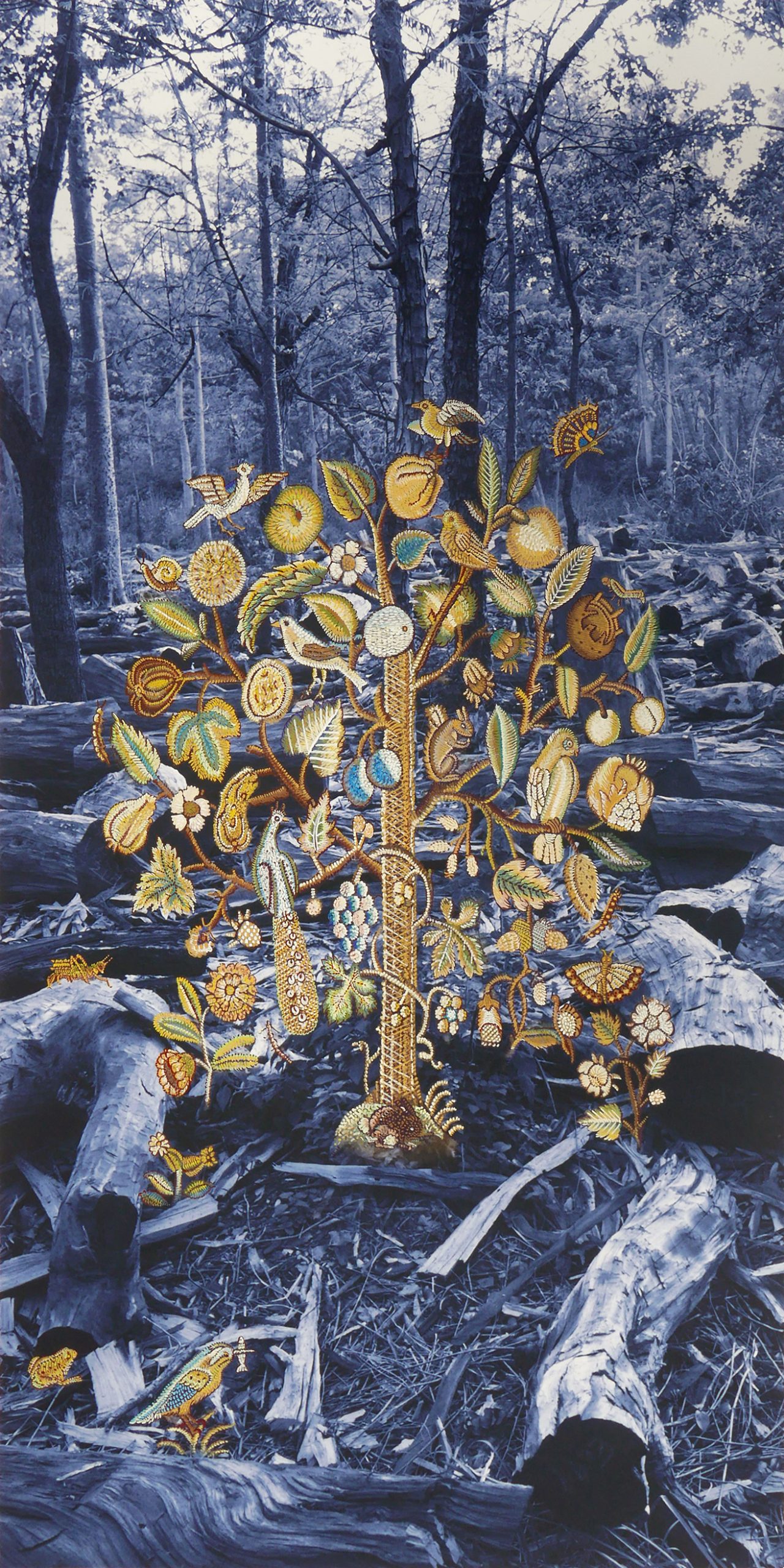 ‘Family Tree’ art exhibition debuts at Pearl Conard Art Gallery